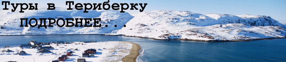 экскурсия Териберка и киты экскурсия Териберка и киты